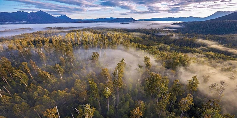 elevated view of Tasmanian world heritage area with fog in trees and mountains in background