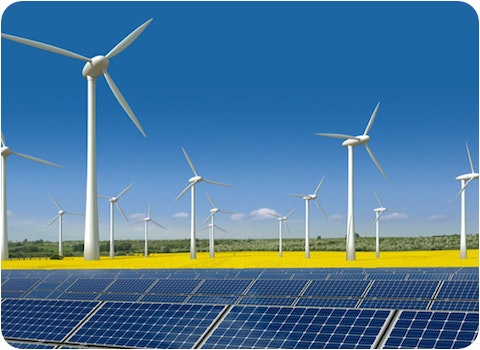 solar farm with wind turbines in daffodil field towards horizon