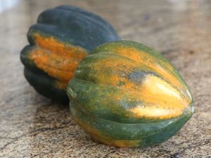 Two whole acorn squash on a marble counter