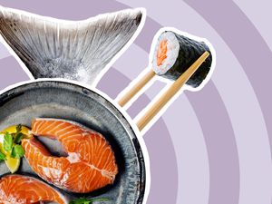 Best Online Salmon Delivery Services
