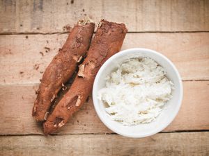 Fresh cassava (yuca) roots look brown and woody, while freshly grated raw look pure white