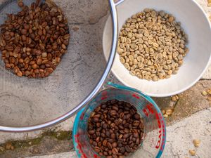 raw and roasted coffee beans