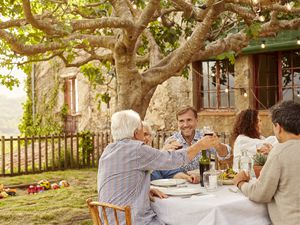 Family toasting wineglasses at table in yard