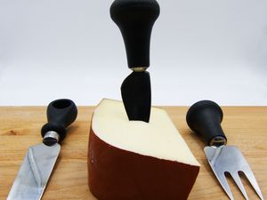 Fontina cheese on a wooden table