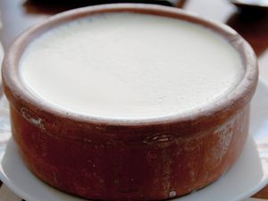 Turkish full-fat yogurt in a clay pot