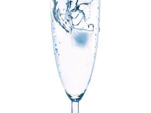 Champagne Glass with Ice Splash