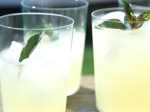 Glasses of lemonade with mint sprigs