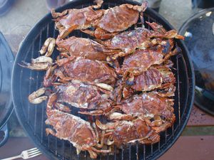 Soft-shell crabs cooking on a charcoal grill