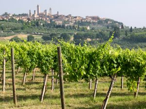 Italian Wine Guide for Beginners