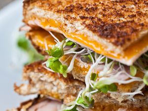 Grilled cheese with sprouts and ham