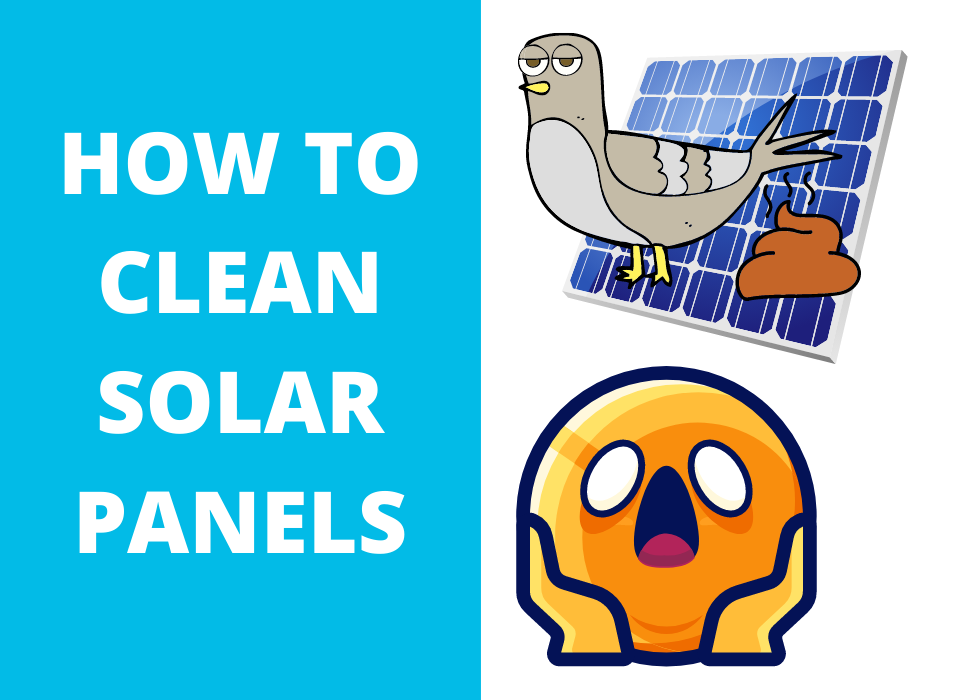 cleaning solar panels illustration of bird droppings on solar panel frustrated face