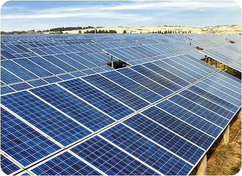 sun drenched solar farm in NSW