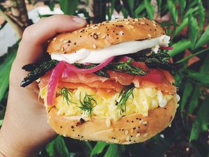 The Best Ever Smoked Salmon Bagel Sandwich Recipe