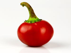 cherry pepper