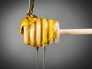 Honey drizzling off of a honey dipper