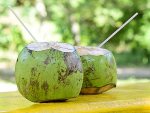 what is coconut water