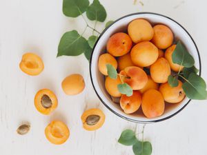 apricot kernels