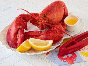 steamed lobster on a tray with drawn butter and lemon